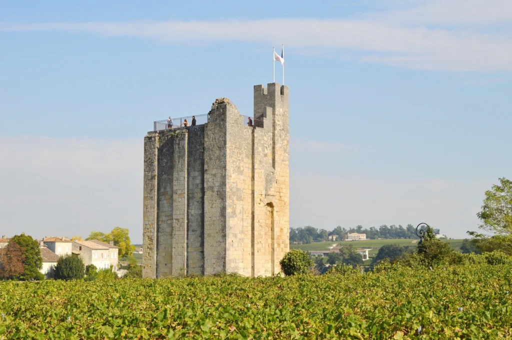 Tour de Roy saint emilion