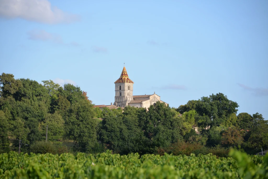 Vignobles saint emilion